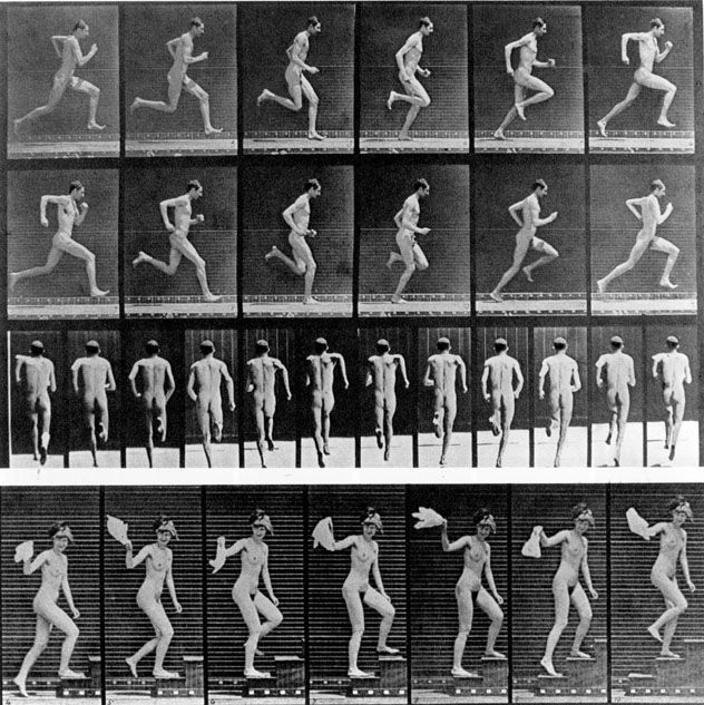 Muybridge